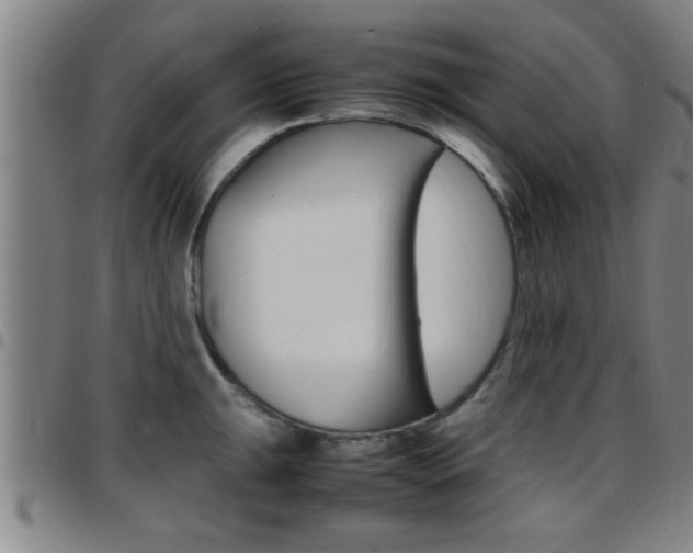 X0000097861047200803140852