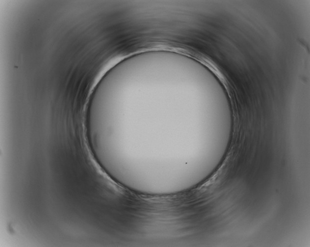 X0000097861048200803140852