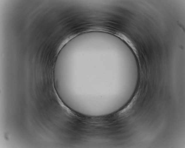 X0000097861049200803140852