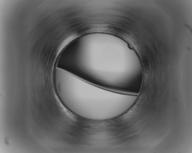 X0000097861050200803140852