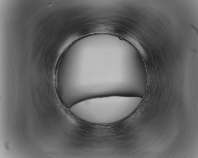 X0000097861051200803140852