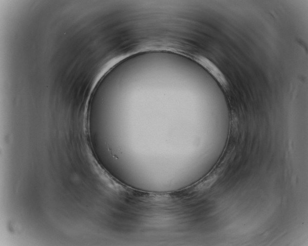 X0000097861052200803140852