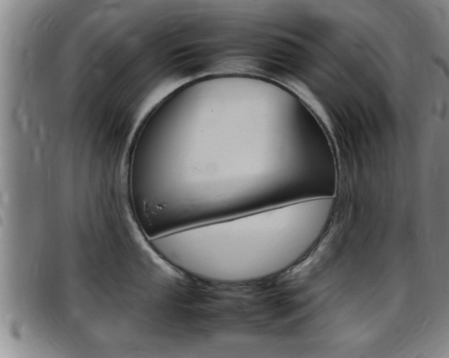 X0000097861053200803140852