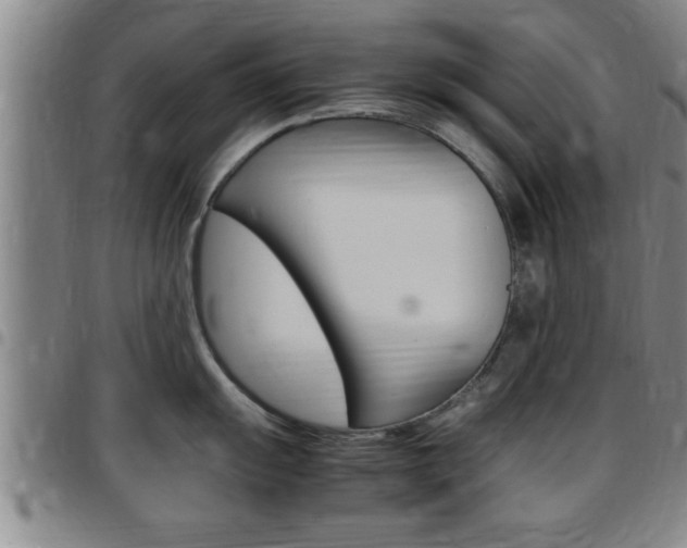 X0000097861055200803140852