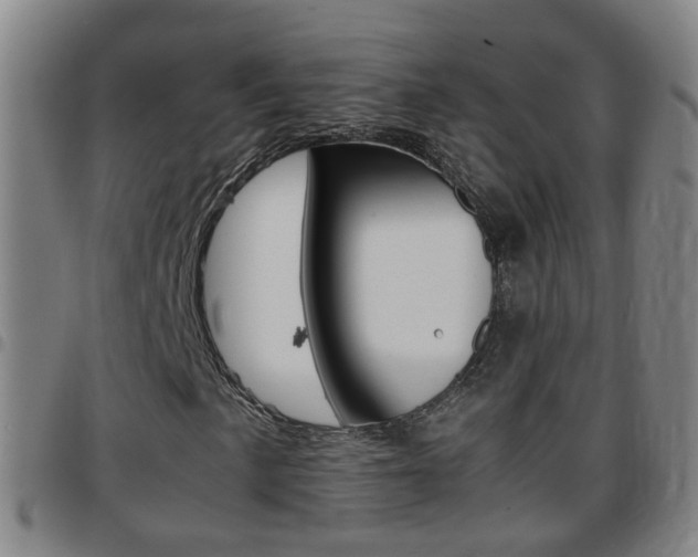 X0000097861057200803140851