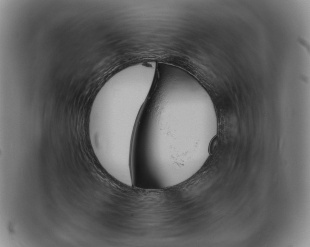 X0000097861058200803140851