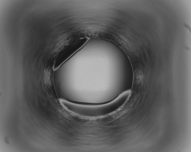 X0000097861060200803140851