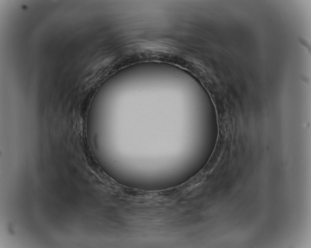 X0000097861061200803140851