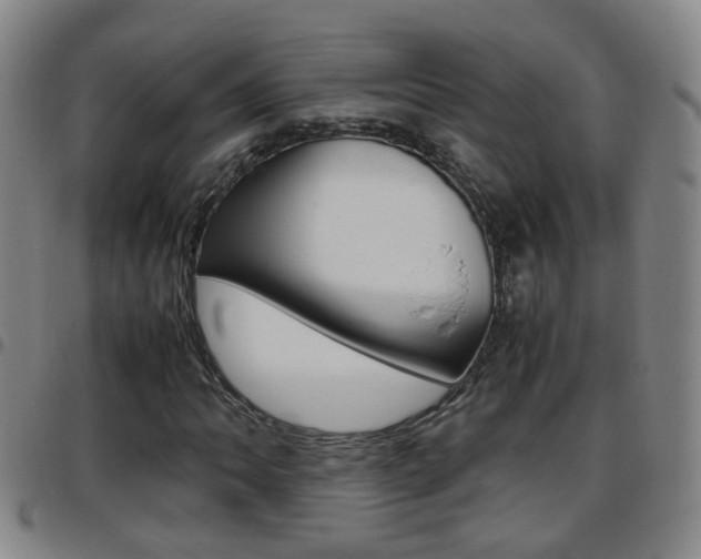 X0000097861062200803140851