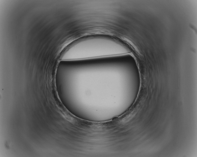 X0000097861065200803140851
