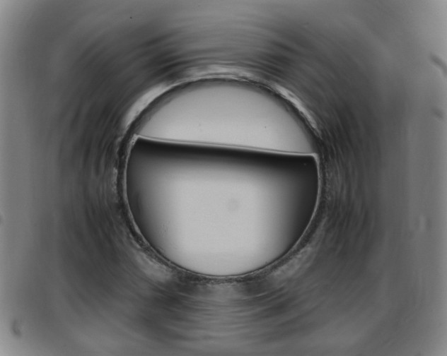 X0000097861066200803140851