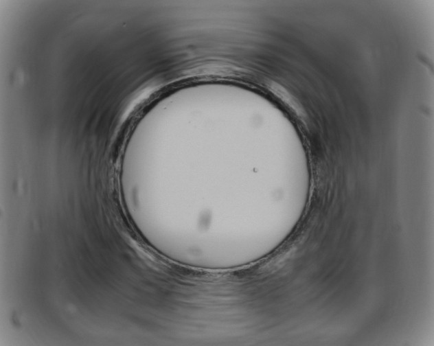 X0000097861067200803140851