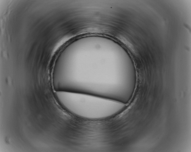X0000097861070200803140851