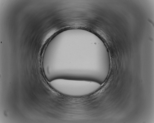 X0000097861071200803140851