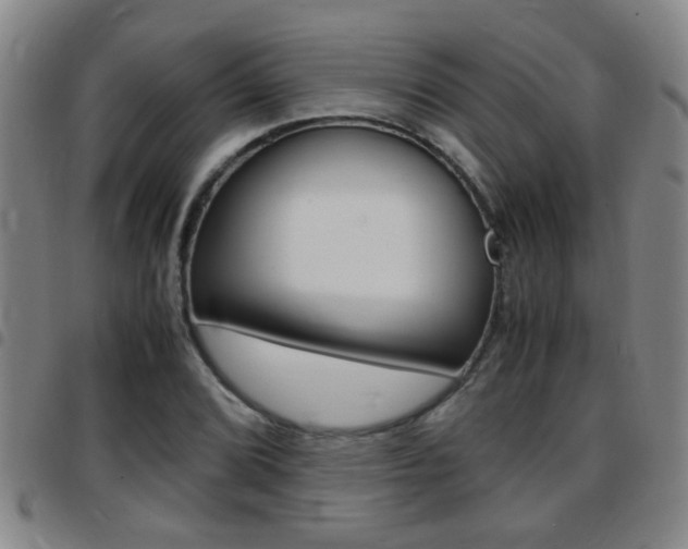 X0000097861072200803140851