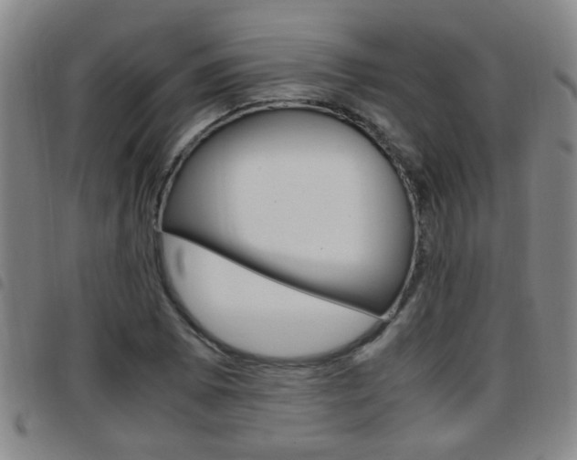 X0000097861073200803140851
