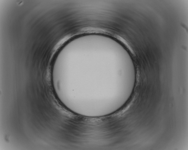 X0000097861074200803140851