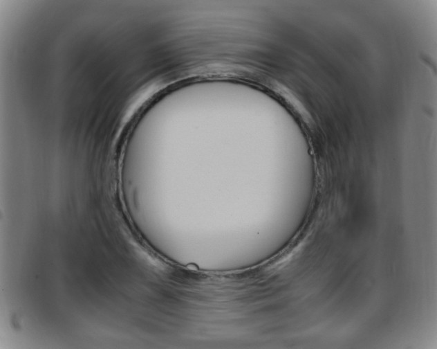 X0000097861075200803140851