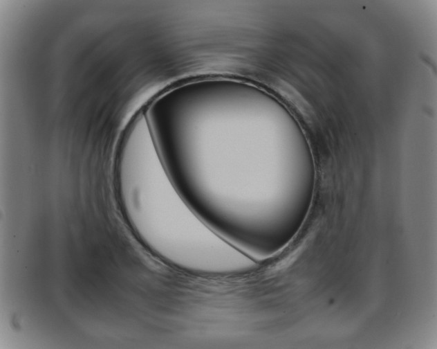 X0000097861077200803140851
