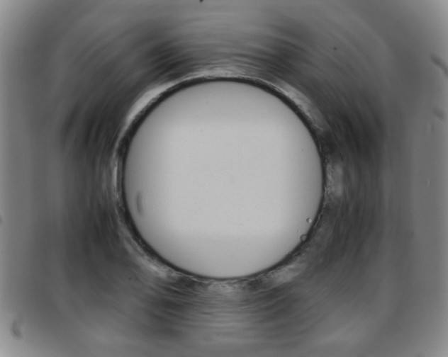 X0000097861078200803140851