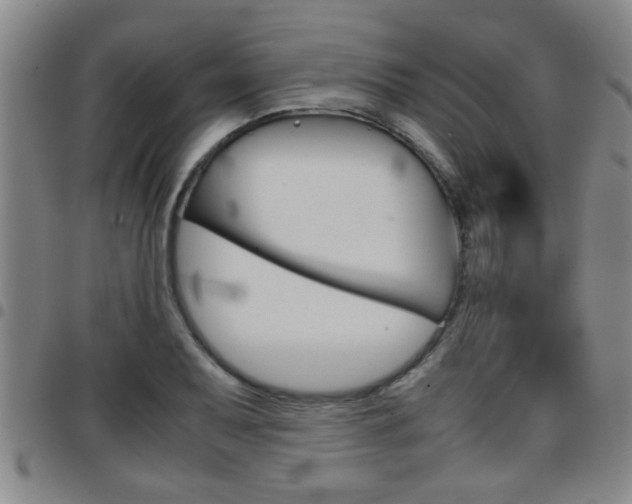X0000097861079200803140851