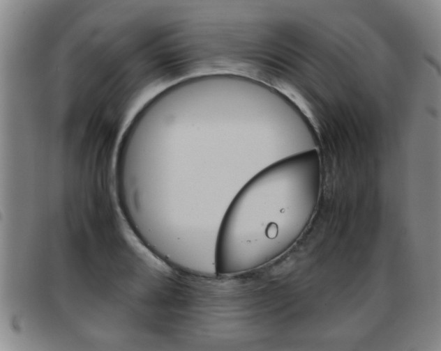 X0000097861080200803140851