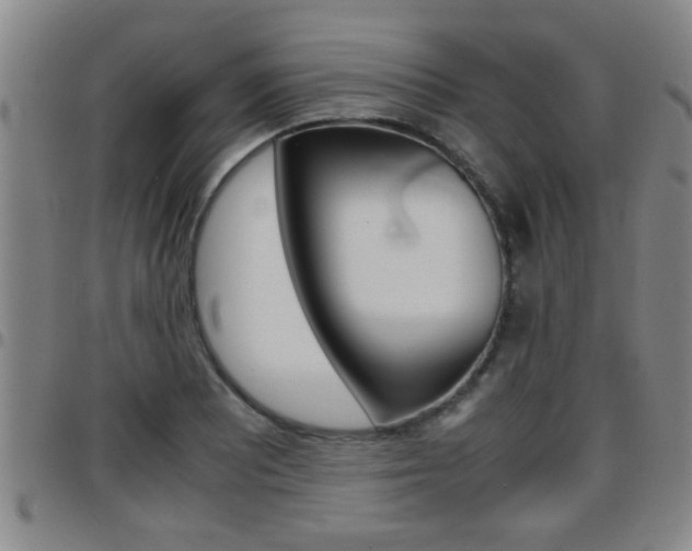 X0000097861081200803140851