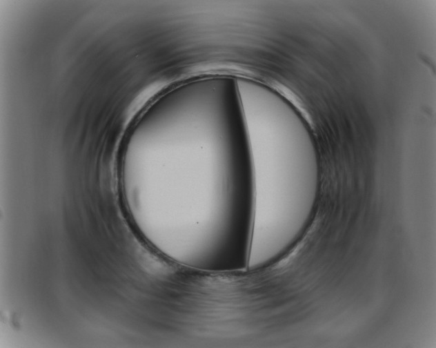 X0000097861082200803140851