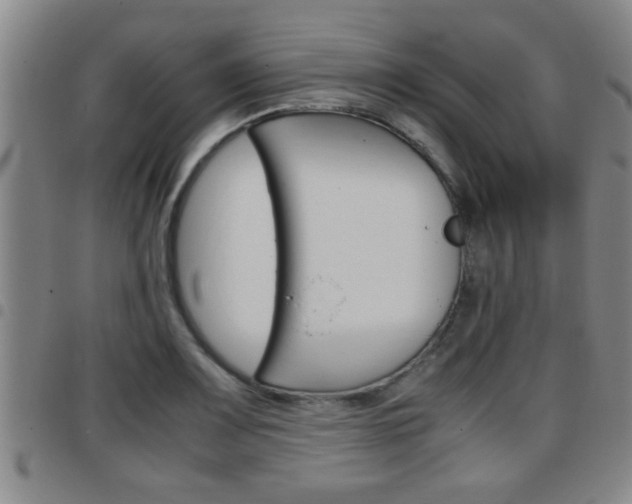 X0000097861083200803140851