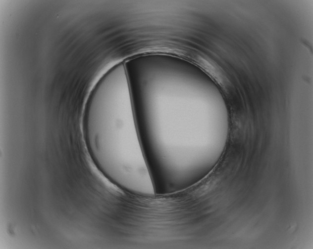 X0000097861084200803140851