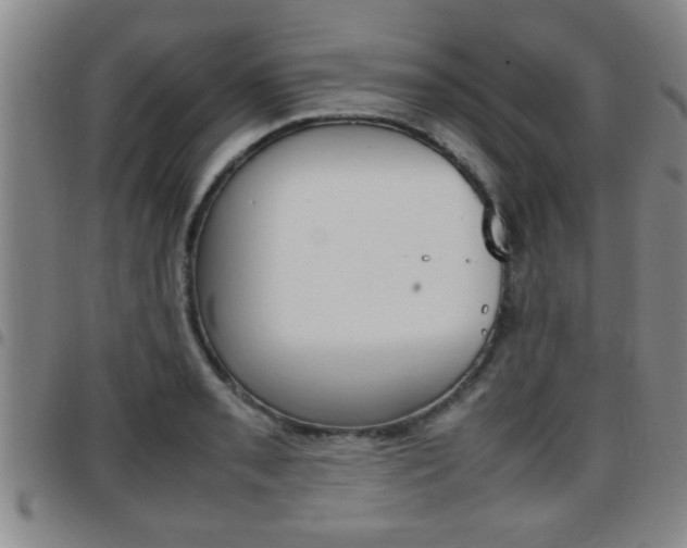 X0000097861085200803140851