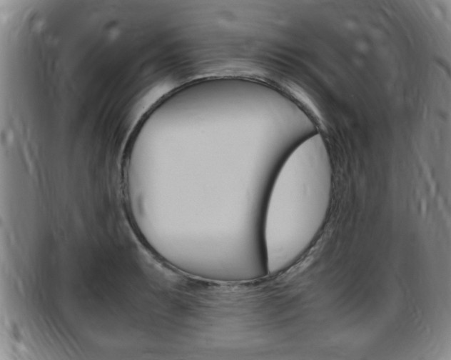 X0000097861087200803140851