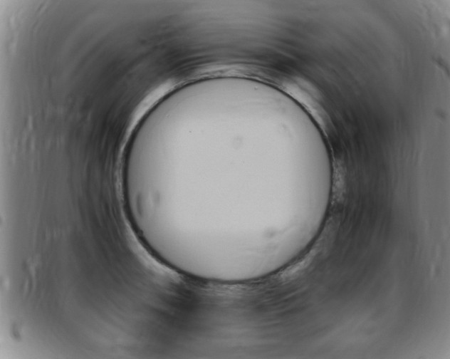 X0000097861090200803140851