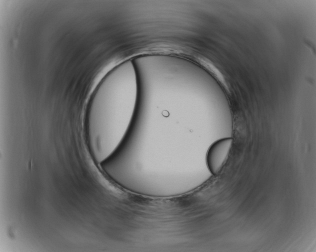 X0000097861091200803140851