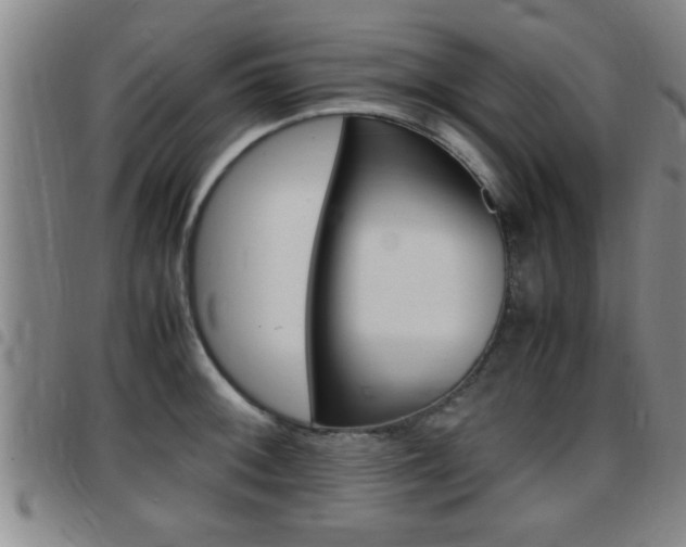 X0000097861092200803140851