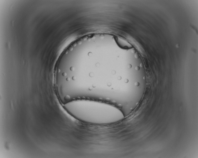 X0000097861095200803140851
