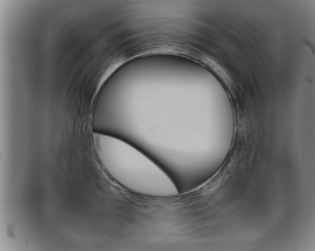 X0000097861097200803140851
