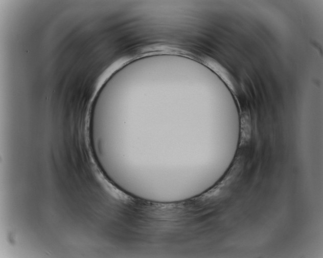 X0000097861098200803140851