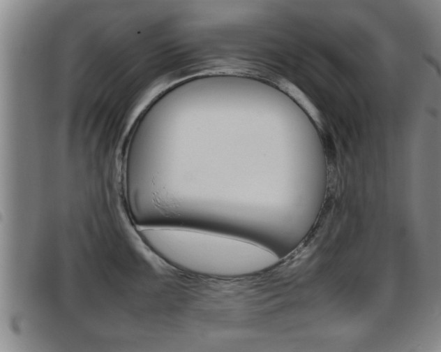 X0000097861099200803140851
