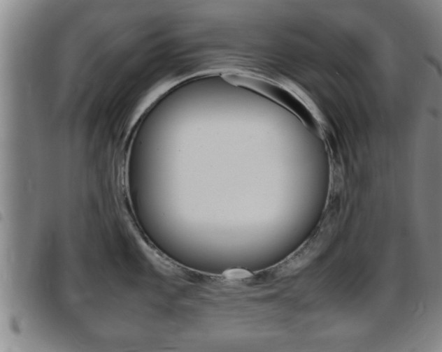 X0000097861101200803140851