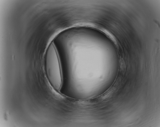 X0000097861102200803140851