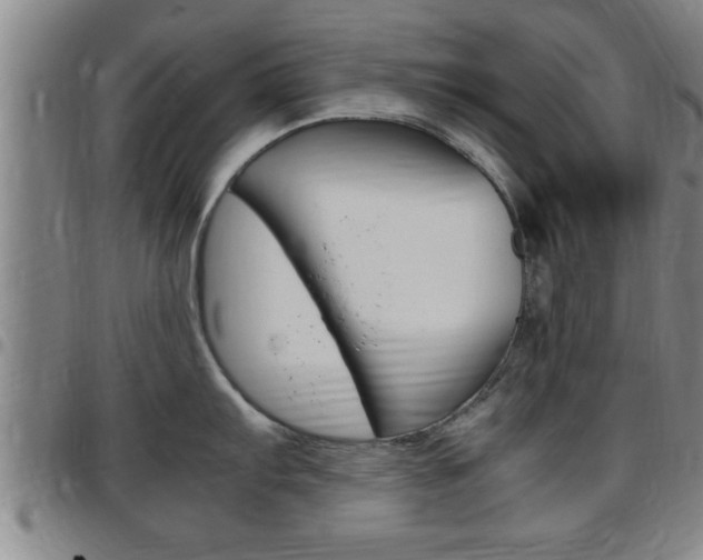 X0000097861103200803140851