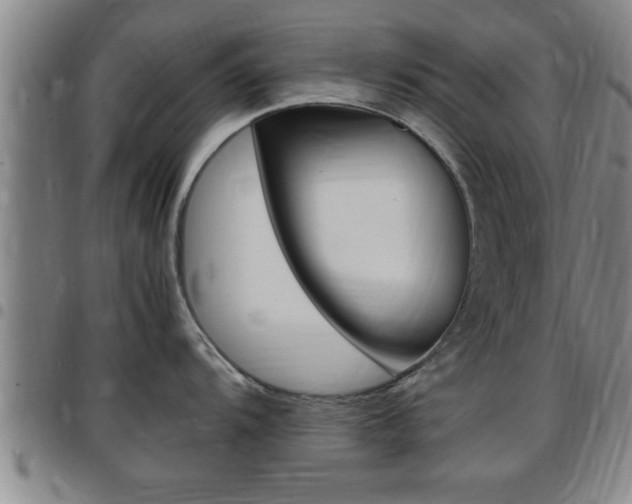 X0000097861104200803140851