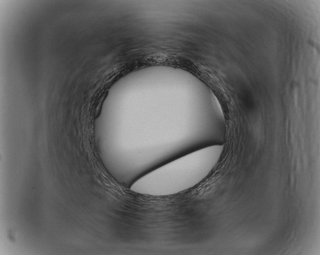 X0000097861105200803140850