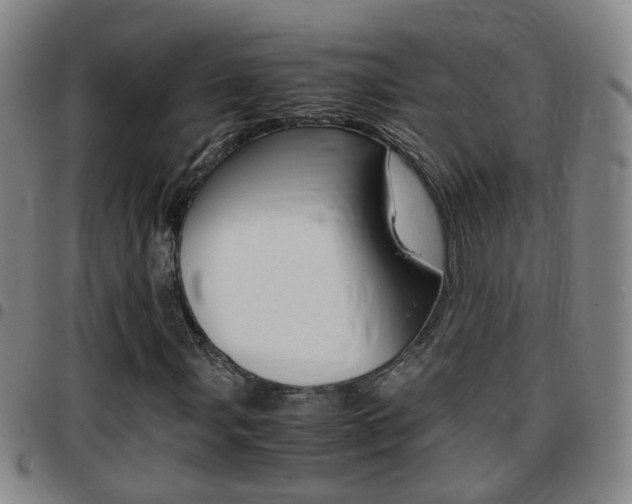 X0000097861107200803140850