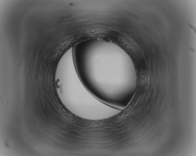 X0000097861108200803140850