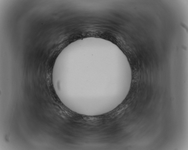 X0000097861109200803140850