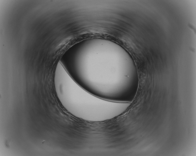 X0000097861110200803140850
