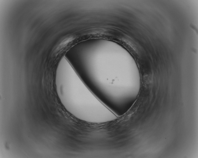 X0000097861111200803140850