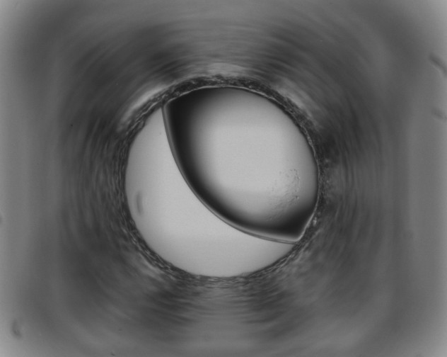 X0000097861112200803140850
